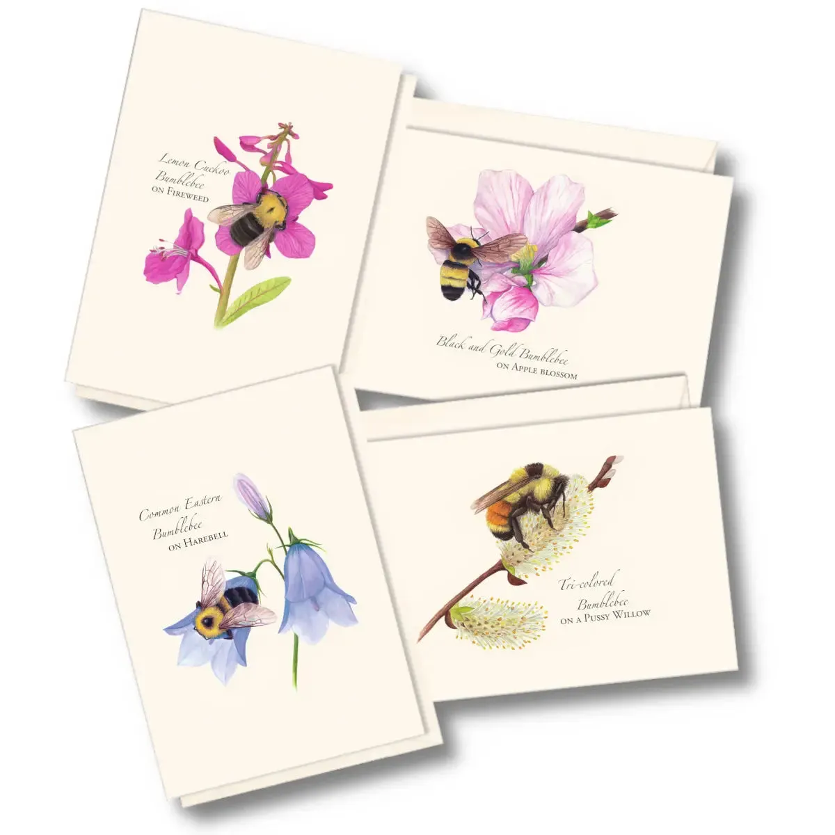 Boxed Greeting Cards