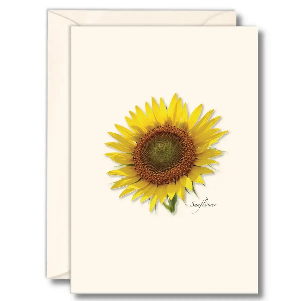 Boxed Greeting Cards